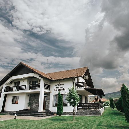 Pensiunea Conacul Lui Horia Bistriţa Buitenkant foto